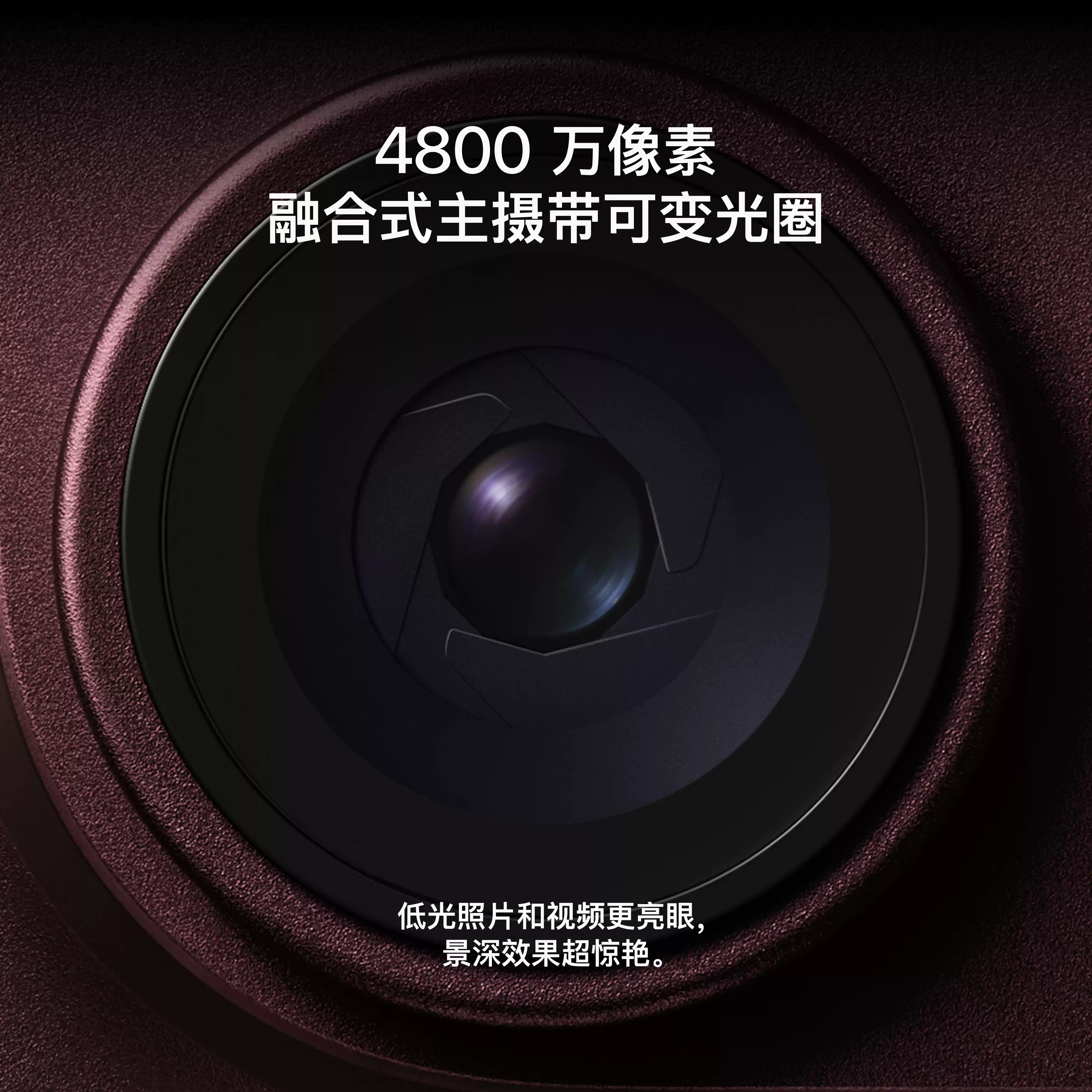 Apple/苹果 iPhone 18 Pro Max 256GB 勃艮第酒红色 全网通手机
